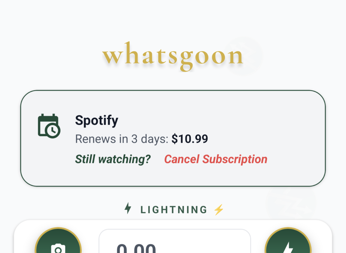 Subscription Detective